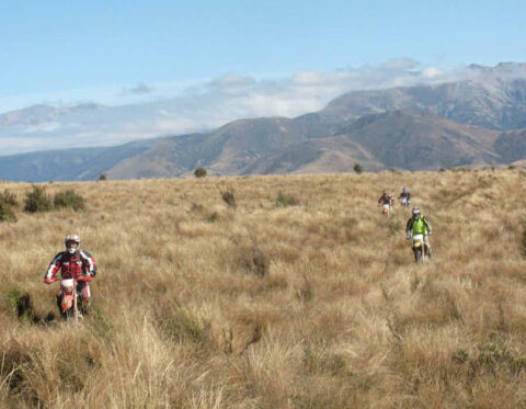 08 5 day canterbury trails tour 5 1