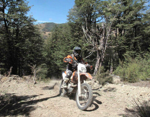 08 5 day canterbury trails tour 6 1