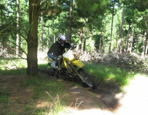 08 5 day canterbury trails tour 8