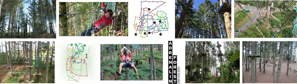 adrenalin forest christchurch new zealand 1.jpg